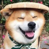 Xuehai Pan