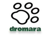 dromara